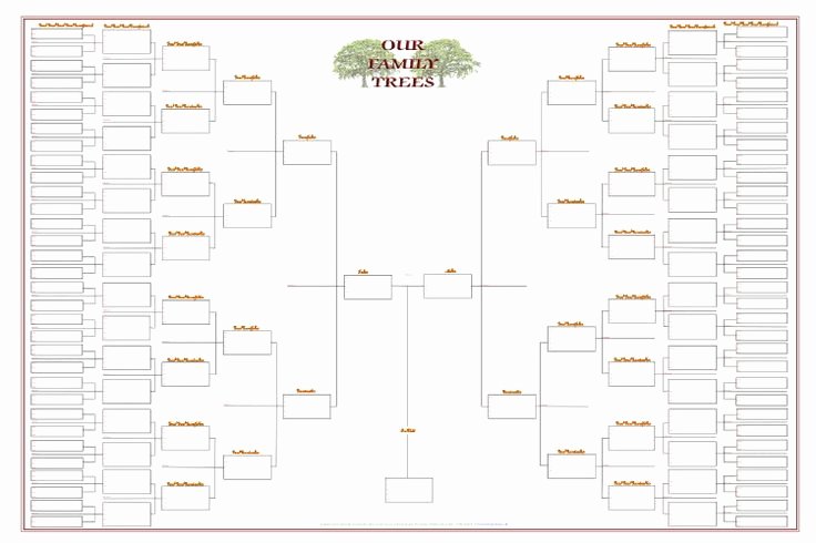 Free Family Tree Templates Lovely One Branch Family Tree Chart Template