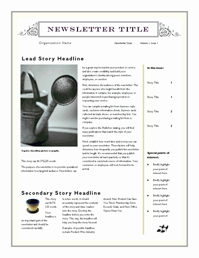 Free Newsletter Templates Word Best Of Free Newsletter Template for Word 2007 and Later