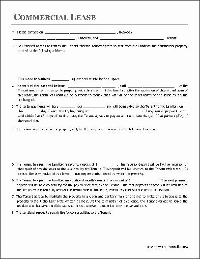 Free Printable Commercial Lease Agreement Fresh Printable Sample Free Lease Agreement Template form