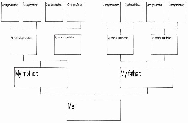 Free Printable Family Tree Beautiful Free Printable Family History Chart