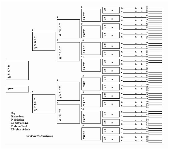 Free Printable Family Tree Elegant Family Tree Diagram Template 15 Free Word Excel Pdf