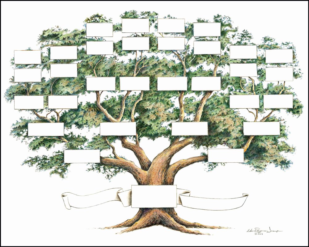 Free Printable Family Tree Luxury Family Tree Chart 5 to 6 Generations Genealogy 14x18