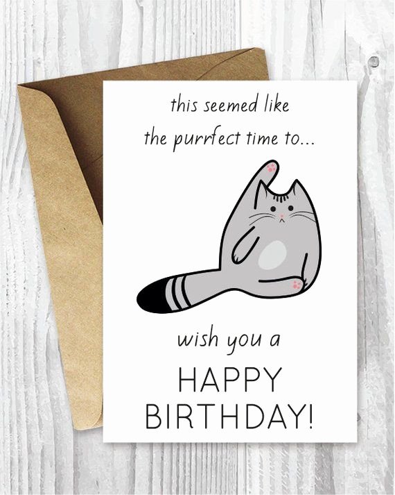 Funny Printable Birthday Cards Awesome Funny Birthday Cards Printable Birthday Cards Funny Cat