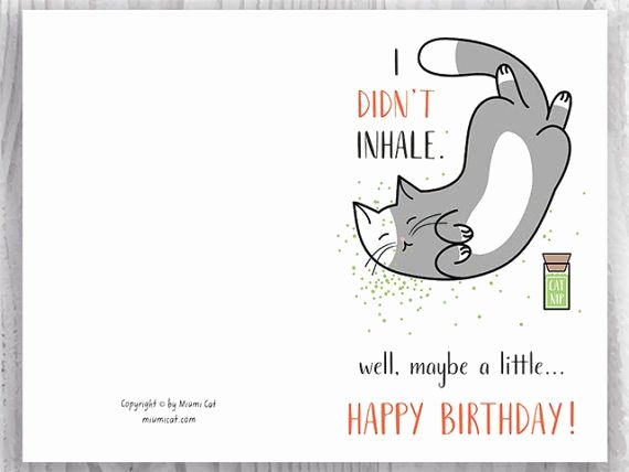 Funny Printable Birthday Cards Awesome Printable Birthday Cards Funny Cat Birthday Cards Stoner