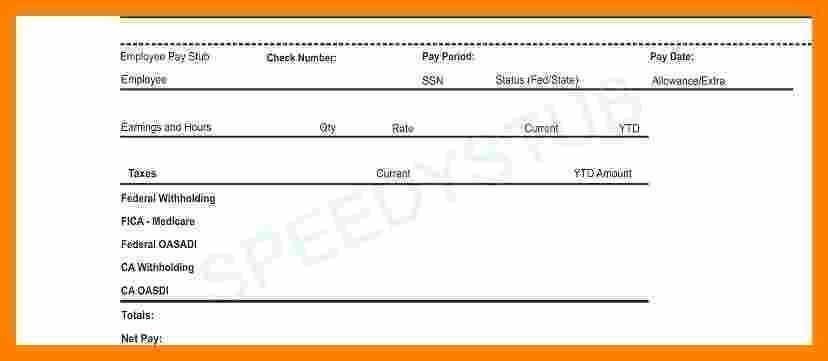 Independent Contractor Pay Stub Template Beautiful 5 Independent Contractor Pay Stub Template