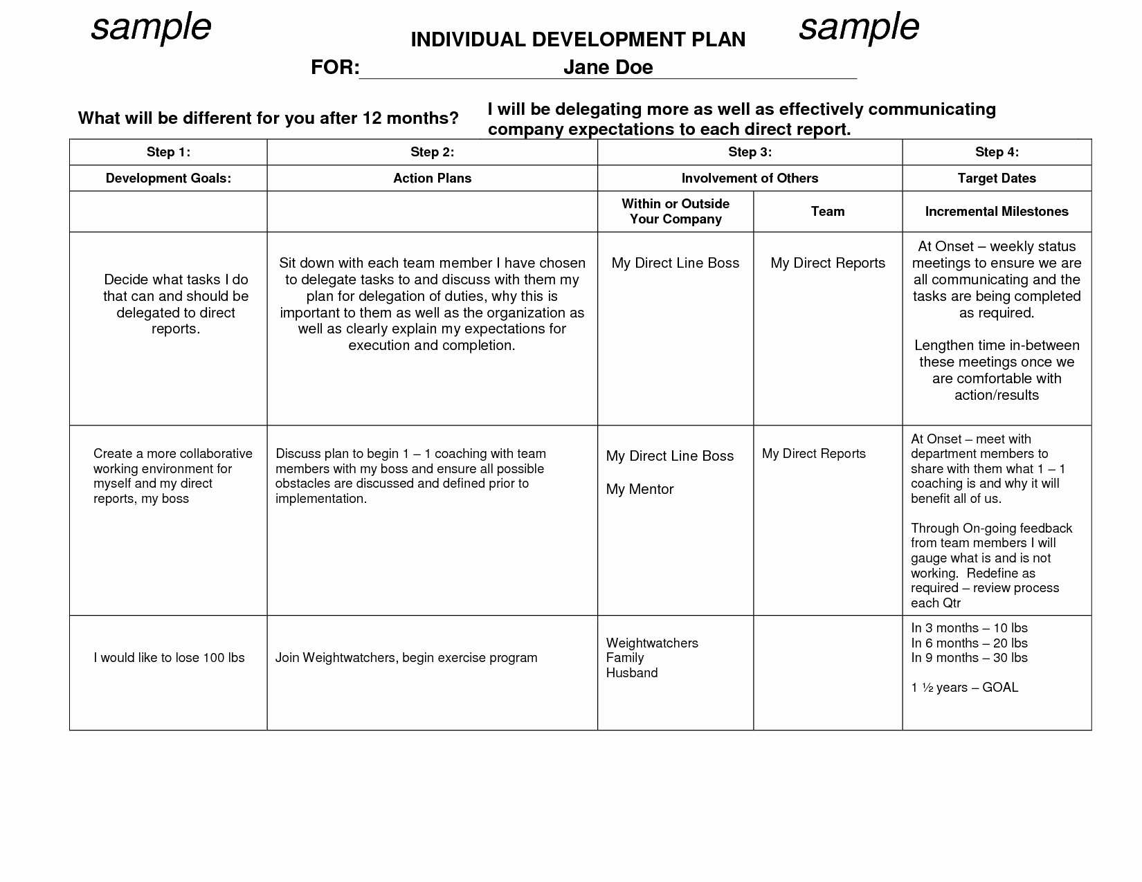 Individual Development Plan Examples Inspirational Personal Development Examples for Work Plan Pdf Growth
