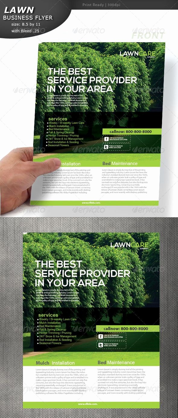 Lawn Care Flyer Template Awesome Lawn Care Flyer