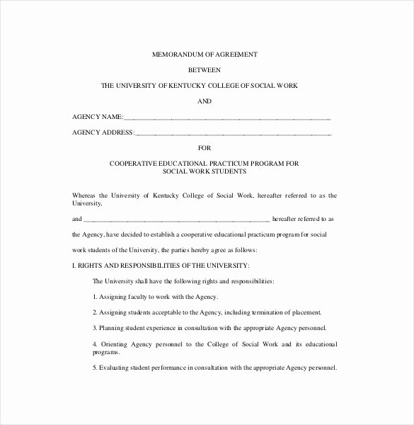 Memorandum Of Understanding Sample Unique Memorandum Agreement Template
