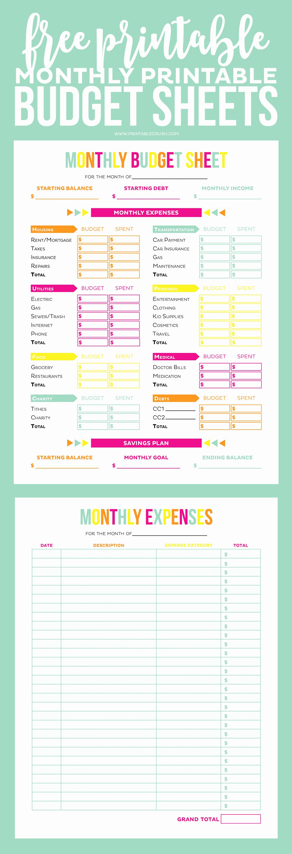 Monthly Budget Worksheet Printable Lovely Free Printable Bud Sheets Printable Crush
