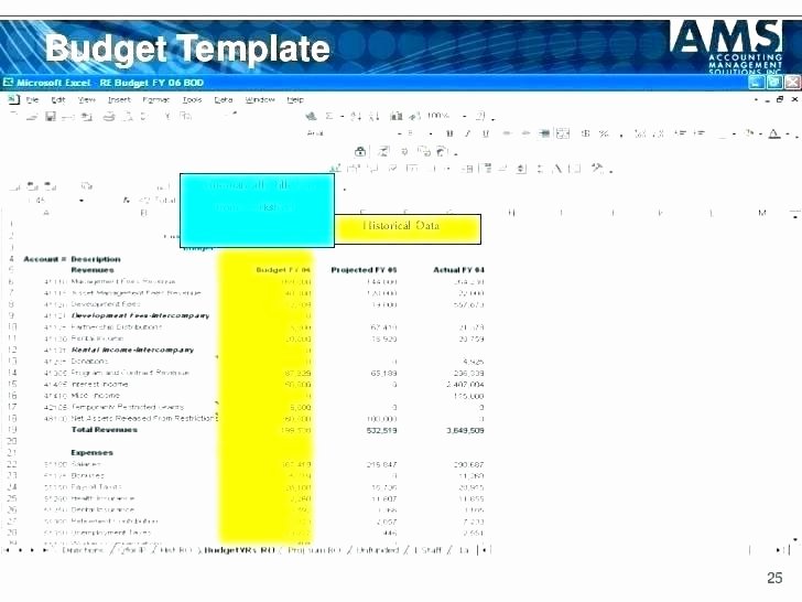 Non Profit Budget Template Unique organizational Bud Template – Highendflavors