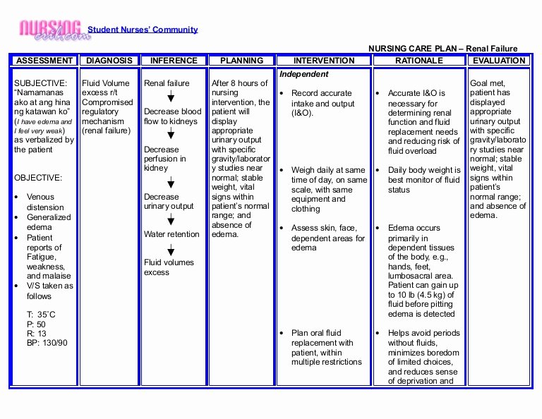 40 Nursing Care Plans Template Desalas Template