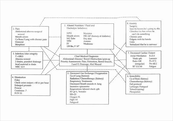 Nursing Concept Mapping Template Inspirational Free 10 Sample Concept Map Templates In Pdf