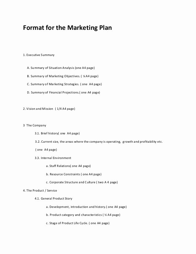 One Page Marketing Plan Lovely Marketing Plan format 2013