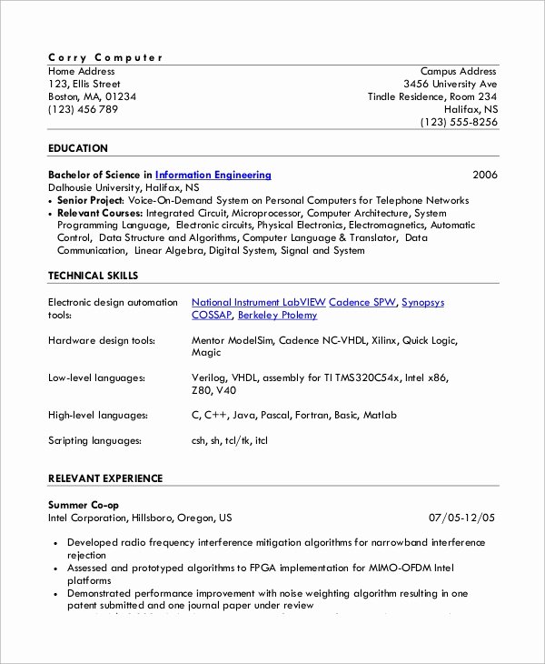 One Page Resume Examples Unique Sample E Page Resume 9 Examples In Word Pdf