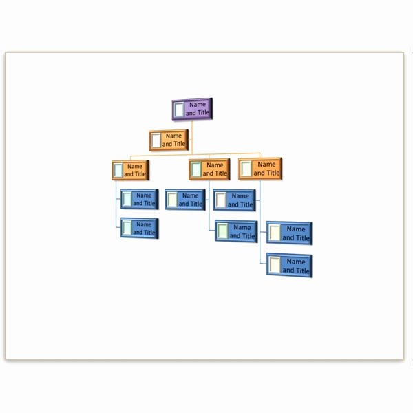 Org Chart Template Word Best Of Two Free Blank organizational Chart Template to Download