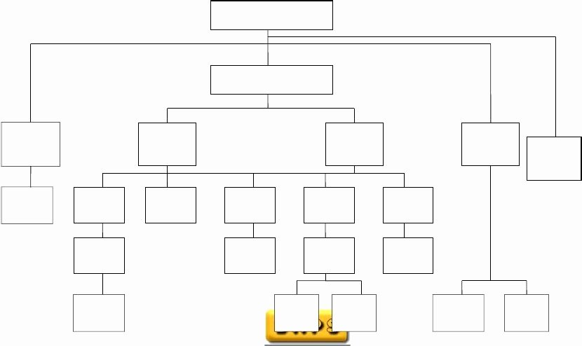 Org Chart Template Word New Flowchart Templates for Word