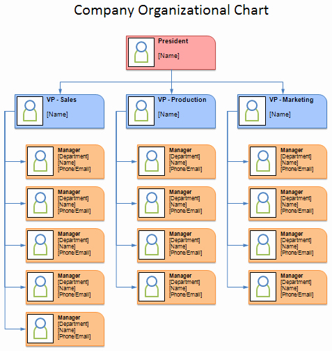Organizational Chart Template Free Best Of Free organizational Chart Template Pany organization