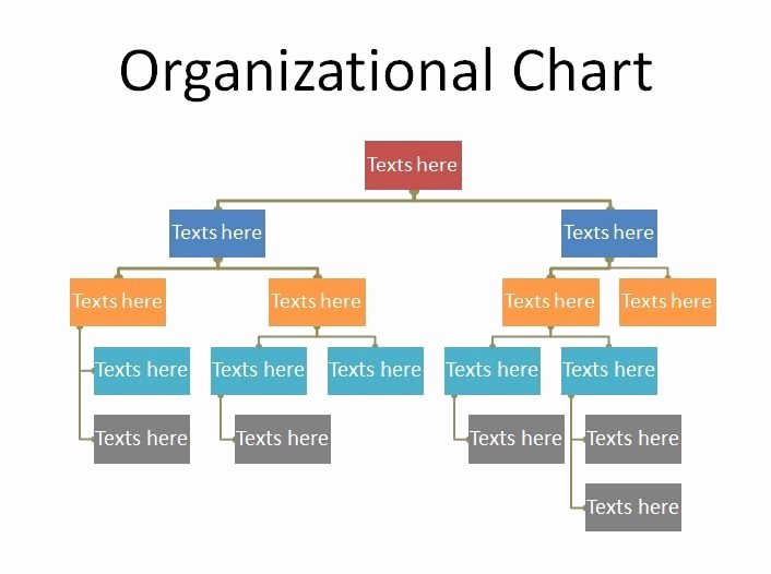 Organizational Chart Template Word Best Of Free organizational Chart Template