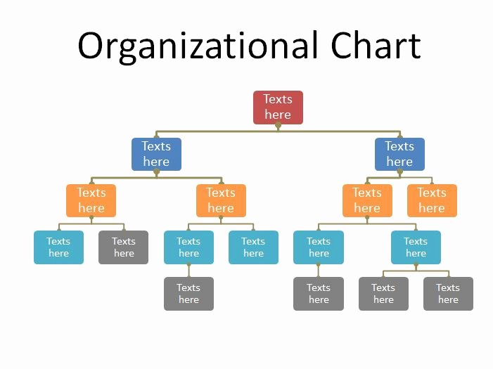 Organizational Chart Template Word Lovely 40 Free organizational Chart Templates Word Excel