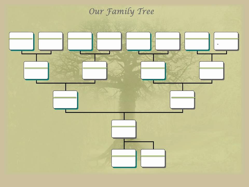 Powerpoint Family Tree Template Best Of Family Tree Project Template – Ancestry Talks with Paul Crooks