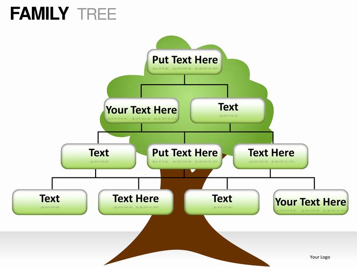 Powerpoint Family Tree Template Lovely Family Tree Powerpoint Presentation Templates