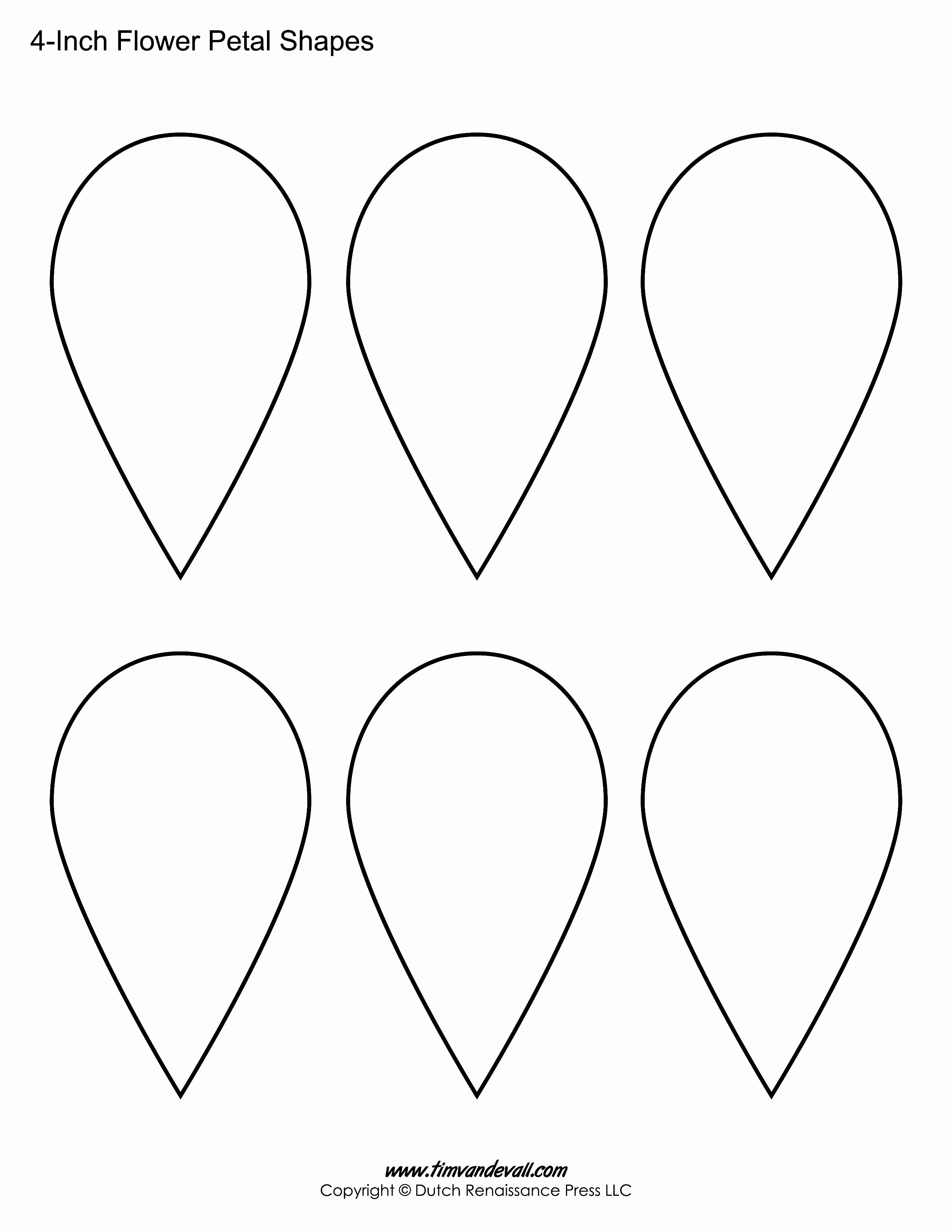 Printable Flower Template Cut Out New Image Result for Free Sunflower Cut Out Patterns