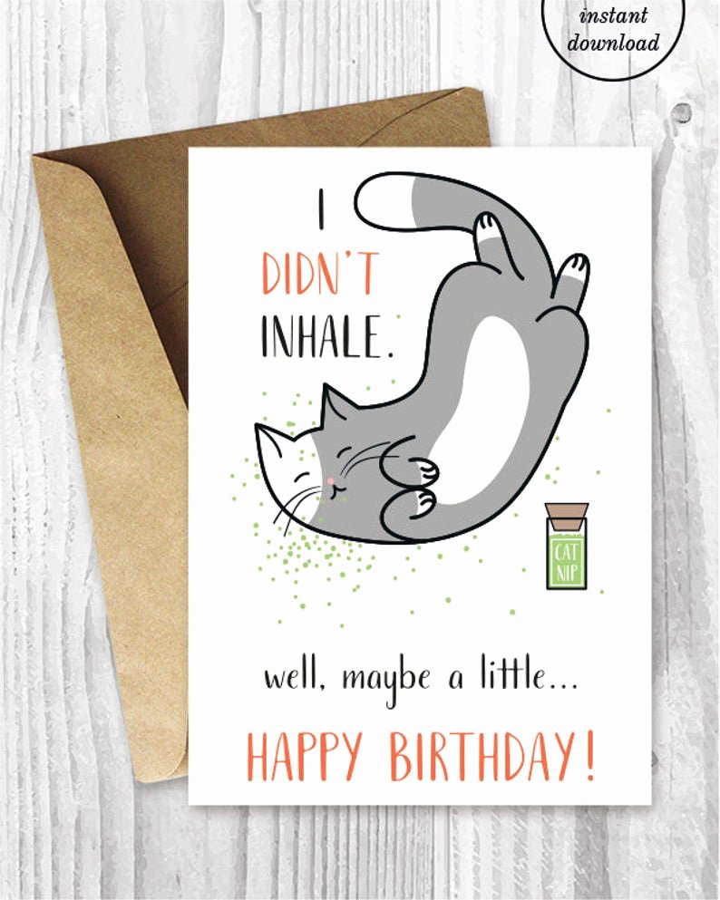 Printable Funny Birthday Cards Lovely Printable Birthday Cards Funny Cat Birthday Cards Stoner