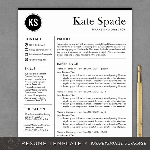 Professional Resume Template Free Fresh Best 25 Professional Resume Template Ideas On Pinterest