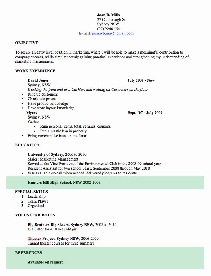Professional Resume Template Word Best Of Cv Template