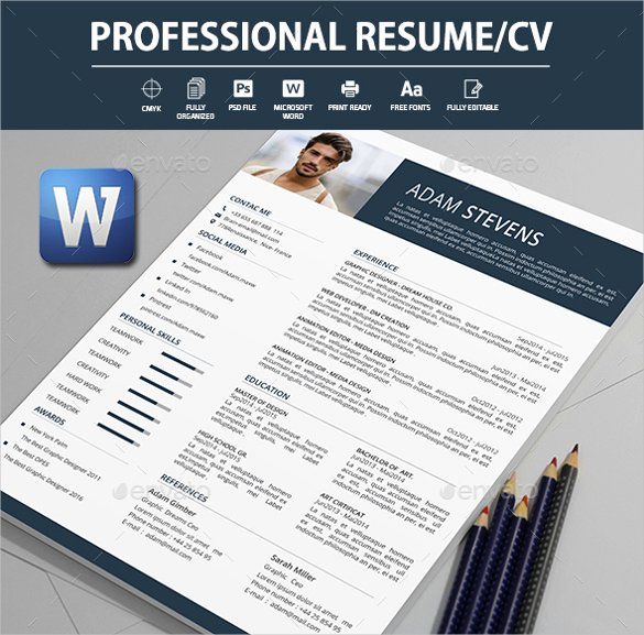 Professional Resume Template Word Inspirational 26 Word Professional Resume Template Free Download