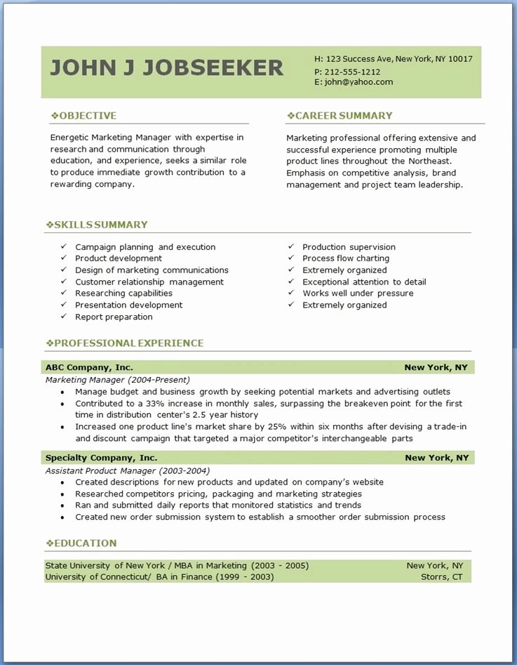 Professional Resume Template Word New Free Professional Resume Templates