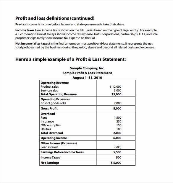 Profit Loss Statement Example Awesome Sample Profit and Loss Statement 12 Free Word Pdf formats