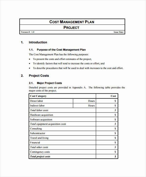 Project Management Plan Example Awesome Free 57 Management Plan Examples In Pdf Word