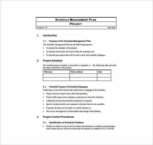 Project Management Plan Example Awesome Project Management Plan Template 12 Free Word Pdf