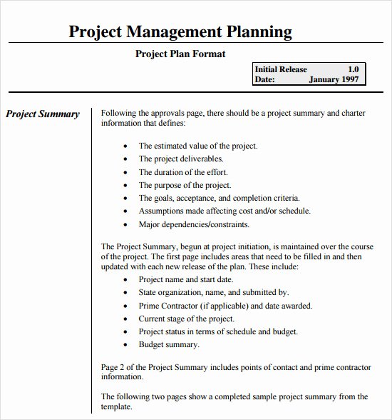 Project Management Plan Example New Sample Project Plan 19 Examples format