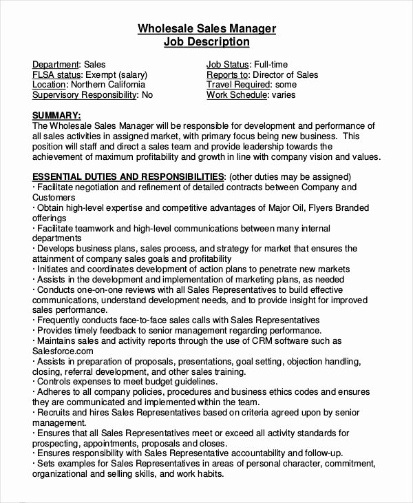 Regional Sales Manager Job Description Lovely 12 Sales Job Description Templates Pdf Doc