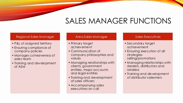 Regional Sales Manager Job Description Lovely Sales Management Fmcg Presentation