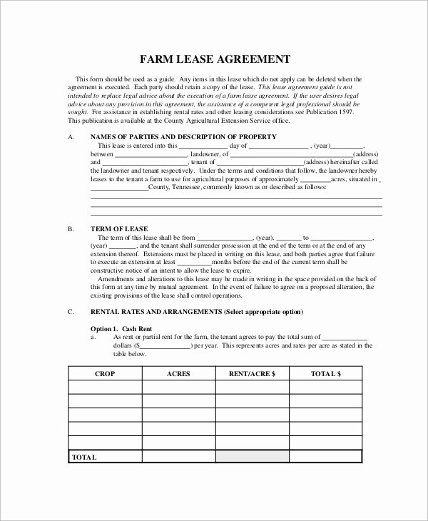 Simple Lease Agreement Pdf Beautiful Sample Basic Lease Agreement 12 Examples In Word Pdf