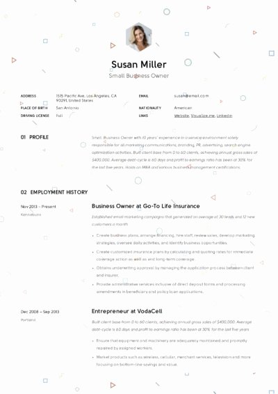 Small Business Owner Resume Luxury Small Business Owner Resume Guide 12 Examples Pdf