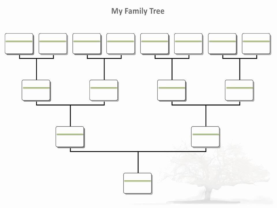 Template for Family Tree Beautiful Blank Family Tree Template