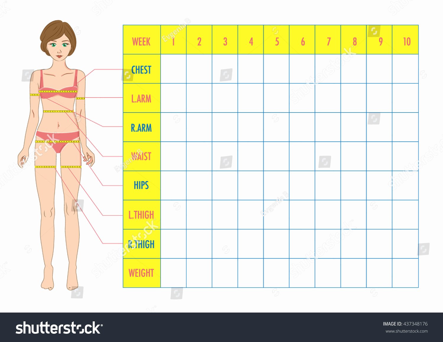 Weight Loss Measurement Chart Elegant Measurement Chart Body Parameters Sport Diet Stock Vector