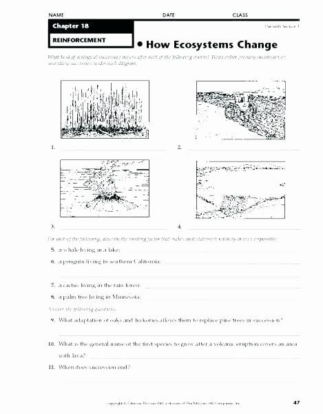 3rd Grade Ecosystem Worksheets Pin On Editable Grade Worksheet Templates