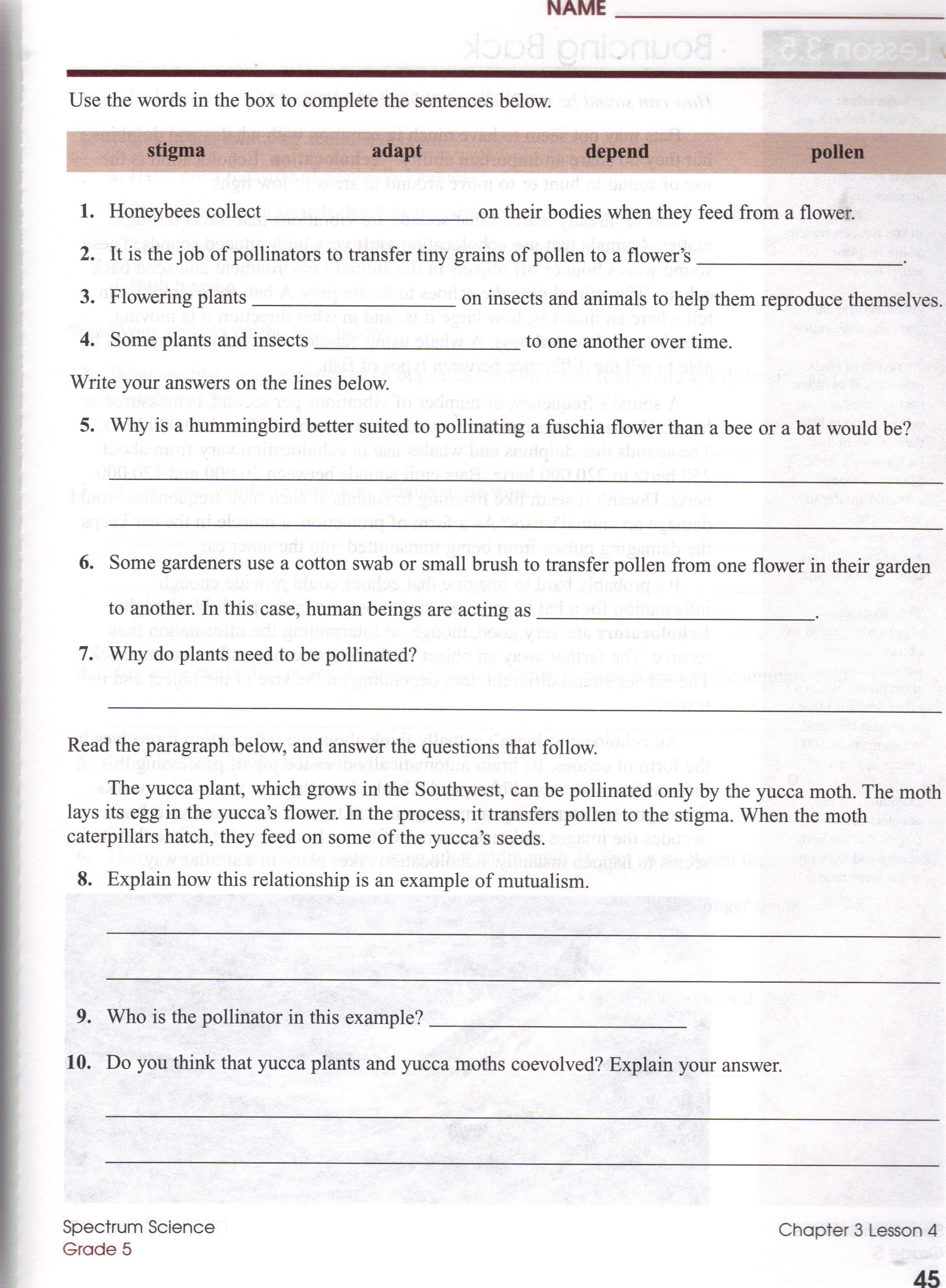 3rd Grade Ecosystem Worksheets Science 4th Grade Worksheets Ecosystems
