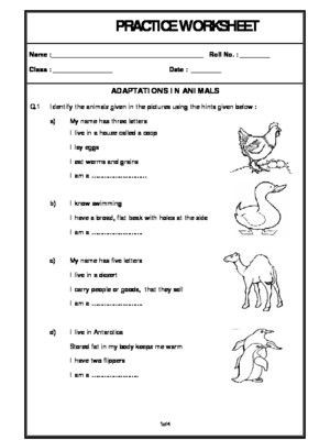 3rd Grade Habitat Worksheets Adaptations In Animals