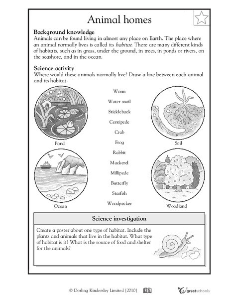 3rd Grade Habitat Worksheets Animal Habitats Worksheet for 3rd 4th Grade