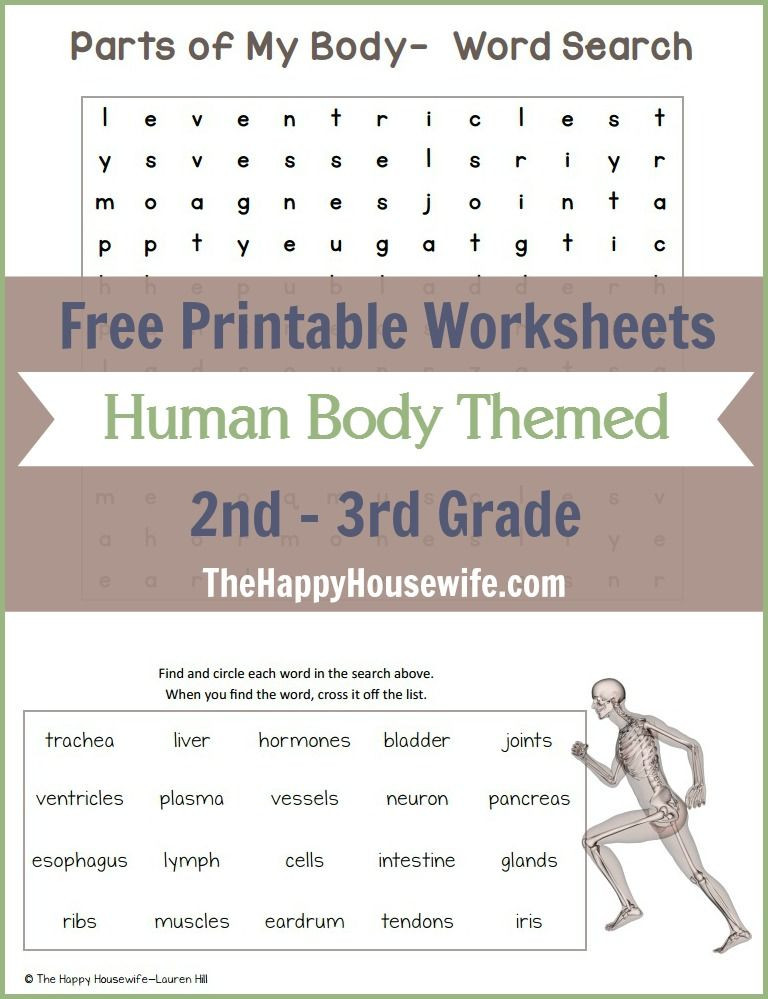 3rd Grade Human Body Worksheets Human Body themed Worksheets Free Printables