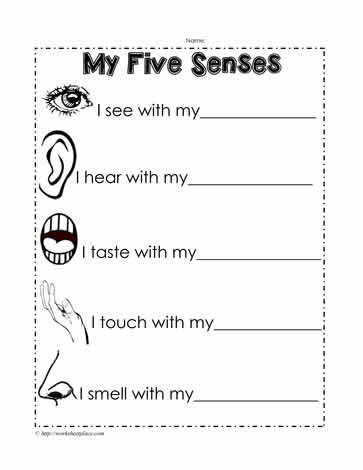 5 Senses Kindergarten Worksheets 5 Senses Words Worksheet Worksheets
