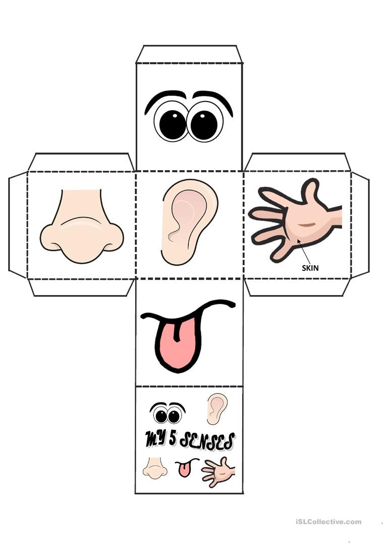 5 Senses Kindergarten Worksheets My 5 Senses Game English Esl Worksheets for Distance