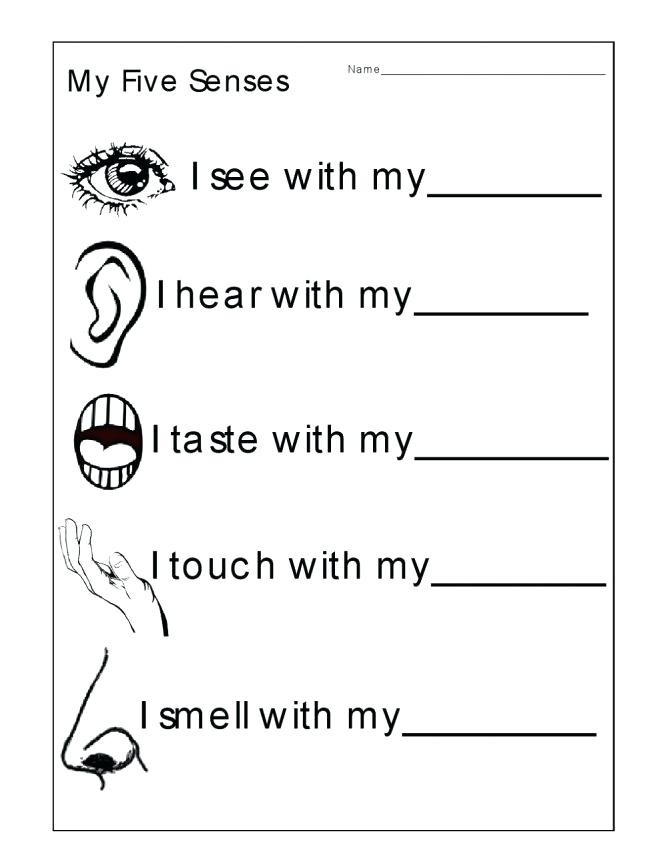 5 Senses Kindergarten Worksheets touch Worksheets for Kindergarten – Keepyourheadup