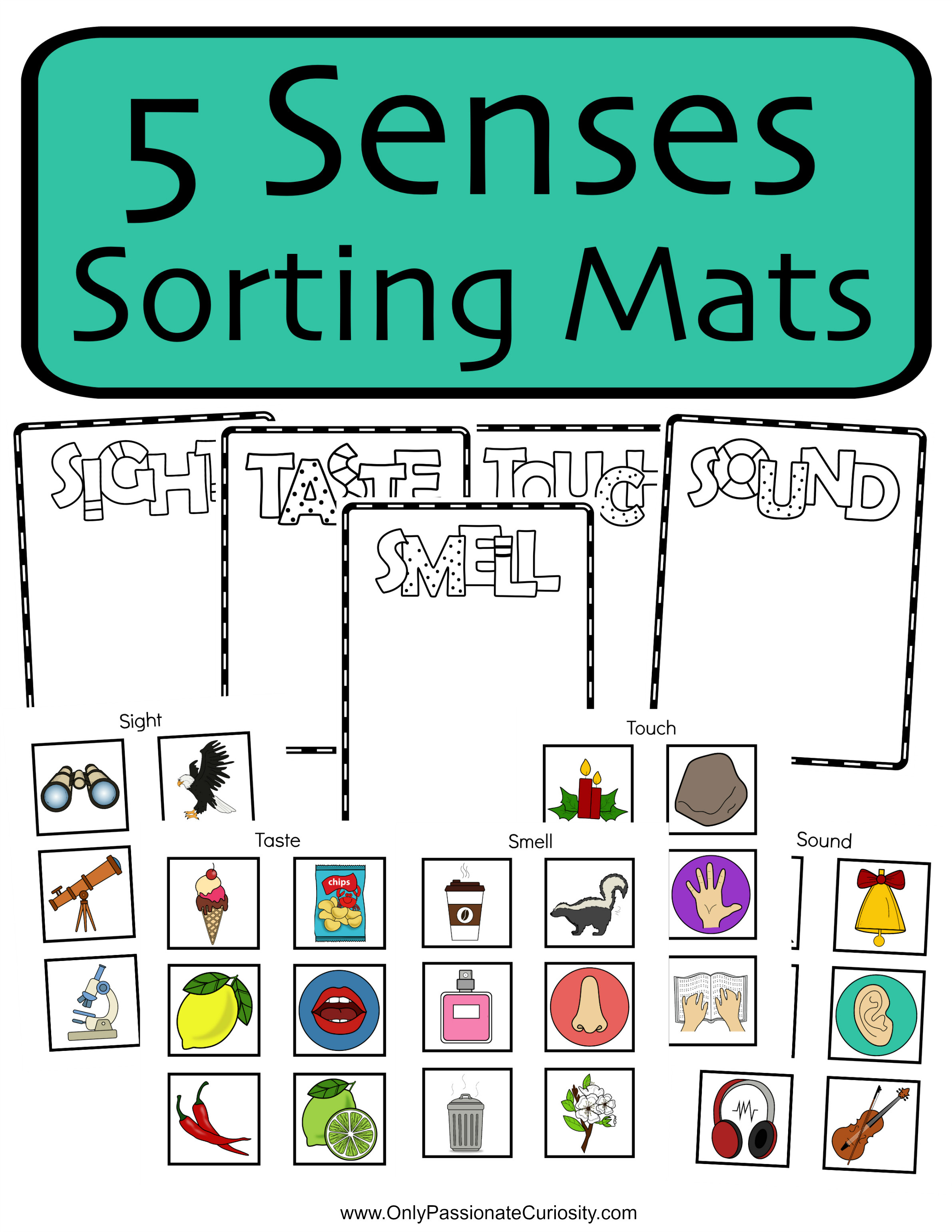 5 Senses Printable Worksheets 5 Senses sorting Mats Ly Passionate Curiosity